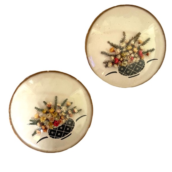 Vintage Other - Vintage Dried Flower Circle Dome Wall Hangings
